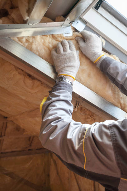 Best Residential Insulation in Zionsville, IN